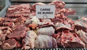 Argentina: Carne de burro frente a los precios del ganado
