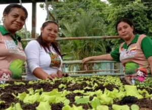 Comunidad y escuela siembran el futuro productivo