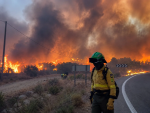 España intensifica operativos contra voraz incendio forestal que deja 12 fallecidos