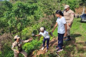 Plan «Chuquisaca» avanza en el Parque Nacional Tirgua