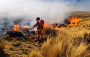 El Niño avanza en Latinoamérica con impactos en diversas áreas
